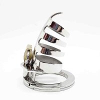 The Classic Stainless Steel Cock Cage