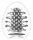 TENGA Egg Brush 6er