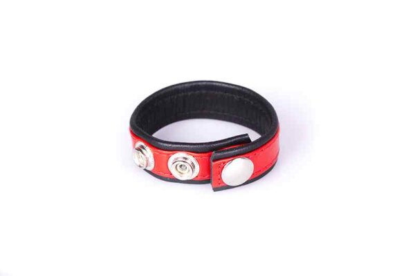 Rainbow Leather Cock Strap Black & Red