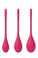 Satisfyer Yoni Power 1 Training Set Rot