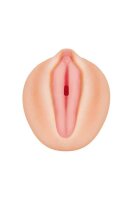 Zero Tolerance Alexis Texas Realistic Vagina Stroker