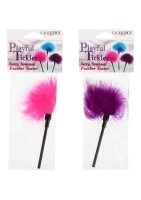 CalExotics playful Tickler