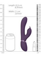 Aimi Pulse Wave & Vibrating G-Spot Rabbit Purple