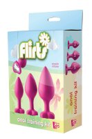 Flirts Anal Training Kit Gem Stone Pink