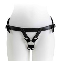Harness Universal
