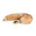 Fox Tail Plug No. 1 Gold
