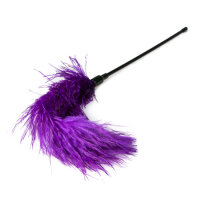 Purple Feather Tickler