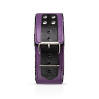 Secret Pleasure Chest Purple Apprentice