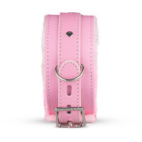 Secret Pleasure Chest Pink Pleasure