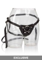 Her Royal Harness The Countess Black