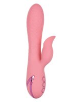 Pasadena Player Pink