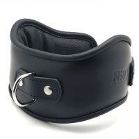 Leather Holding Collar