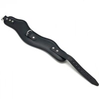 Leather Holding Collar