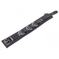 Padded Leather Collar with Black D-Rings