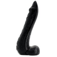 Nautila 19 x 5.8 cm