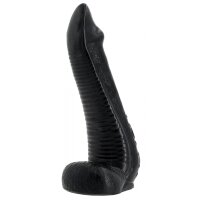 Nautila 19 x 5.8 cm