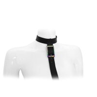Leather Collar with leash Rainbow