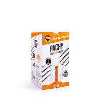 Dinoo Primal Pachy Clear 22,5cm