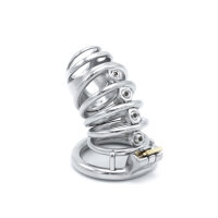 Modern Torture Chastity Device