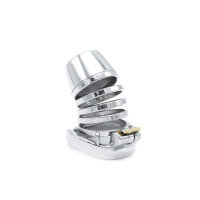 Future Chastity Device