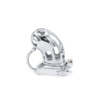 Belted Chastity Device with Ball Divider