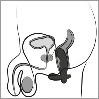 ANOS Cock shaped butt plug with vibration