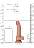 Curved Realistic Dildo  Balls  Suction Cup - 6/ 15,5 cm