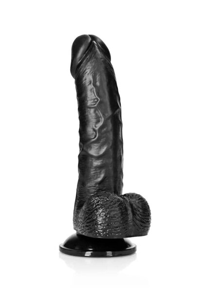 Curved Realistic Dildo  Balls  Suction Cup 6/ 15,5 cm