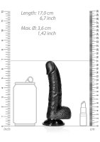Curved Realistic Dildo  Balls  Suction Cup 6/ 15,5 cm