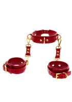 Taboom D-ring collar and wrist cuffs red, gold