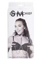Sportsheets Sm Amor Collar With Nipple Jewelry