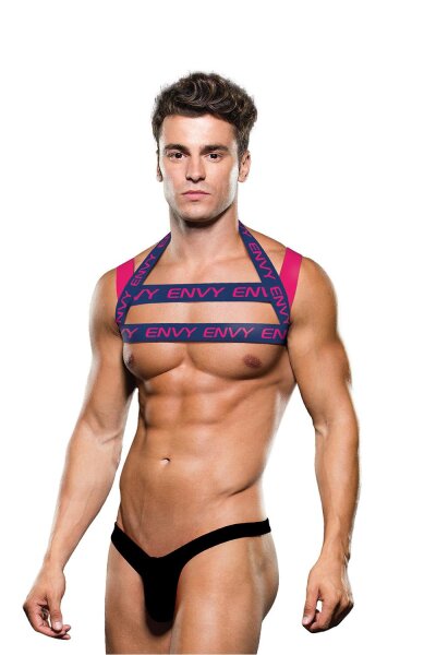 Envy Logo Harness Blue Pink S/M