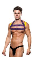 Envy Logo Harness Blue Yellow  S/M