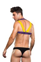 Envy Logo Harness Blue Yellow  S/M