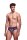 Unicorn & Donuts Brief S/M