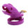 Sea Creature Chastity Cage - Small