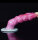 Animal Dildo