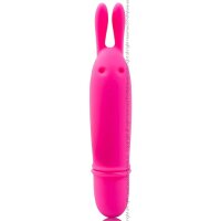 Pretty Love Flirtation Boyce Mini Vibrator pink