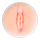 Addicted Toys Pussy Masturbator 2,0