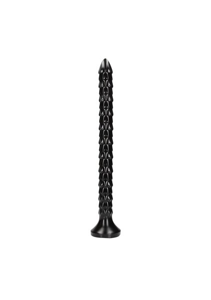 Scaled Anal Snake 16/ 40 cm