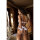 Axami bra white