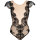 Axami body black