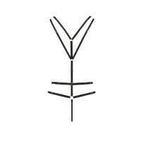 Passion Meggy body black