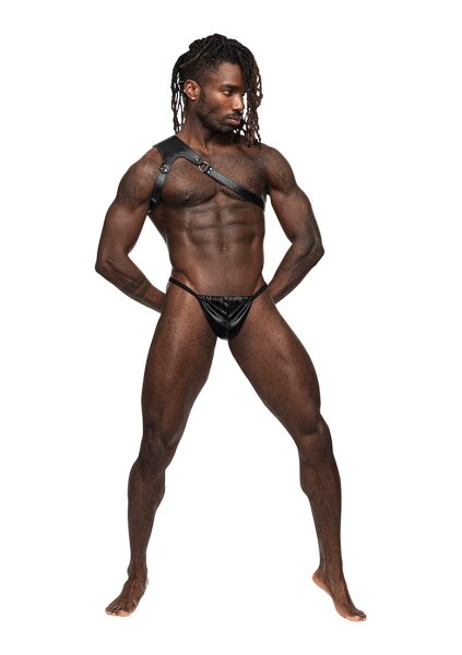 Male Power Zodiac