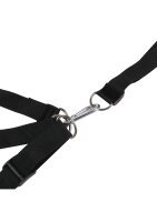 Shots door sex swing black