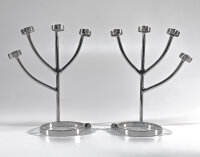 Steel Finger Claws (2 pcs)