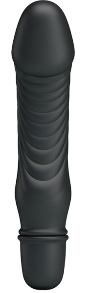 Pretty Love Vibrator Stev Schwarz