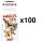 SEX WARRIOR Jolt 10ml x100