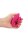 Loveline couple vibrator wild strawberry