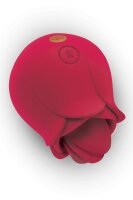 Secret Kisses Rosenbl&uuml;te rot